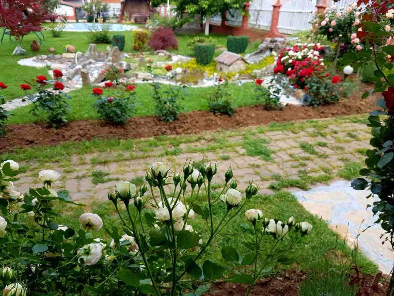 Guest House Rose Smederevska Palanka Exterior foto